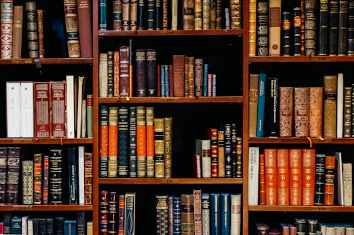 Library photo courtesy of Unsplash