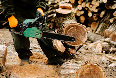 Logging photo courtesy of Unsplash