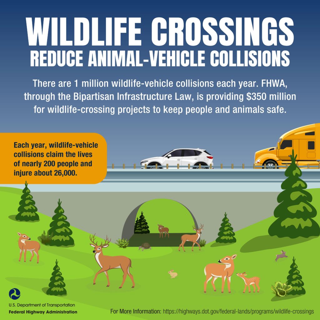 Wildlife Crossing poster Federal Highway Administration