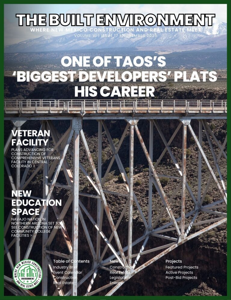 magazine cover Volume 6 Issue 17