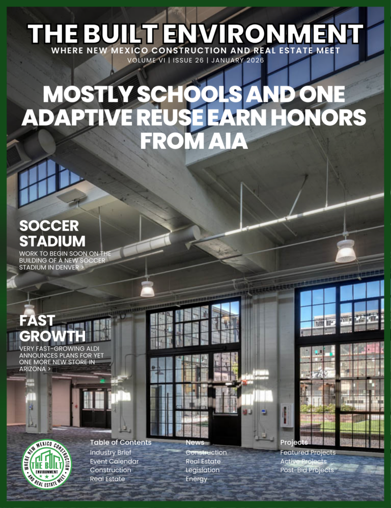 The Built Environment, New Mexico: Volume 6 Issue 26 cover