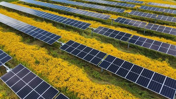 Solar Panels Department of Energy photo